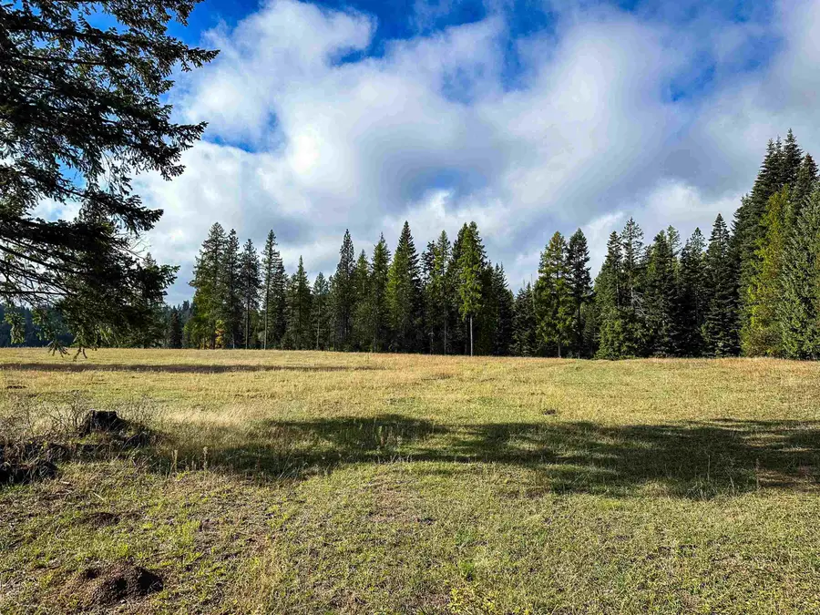 320871 Highway 2, Newport, WA 99156 - #3