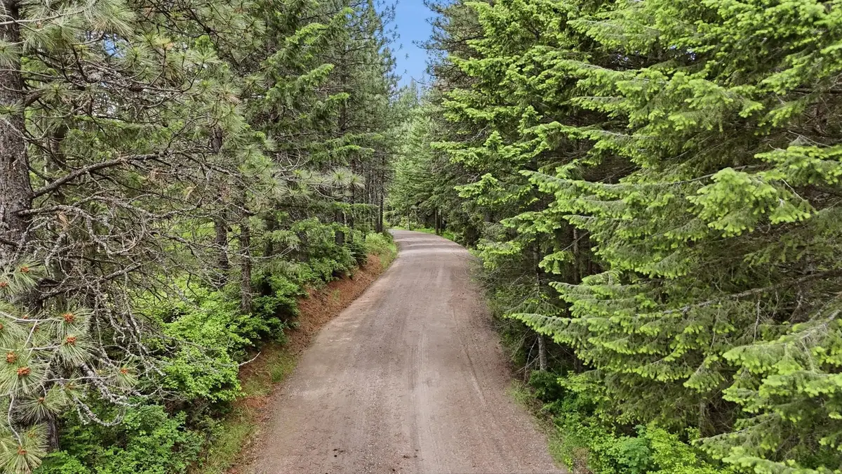NNA N Travis Rd, Colbert, WA 99021 - #1