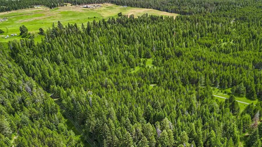 10XXX N Whispering Pines Ln, Elk, WA 99009 - #3