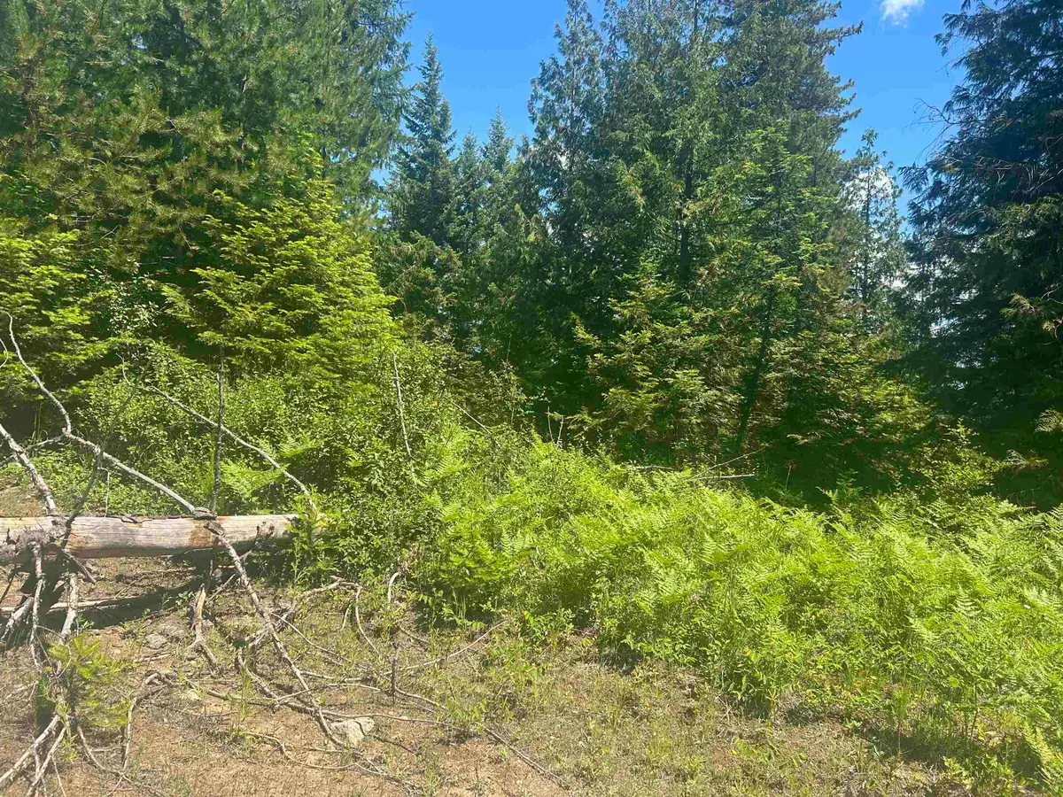 00 N Foster Ln, Usk, WA 99180 - #1