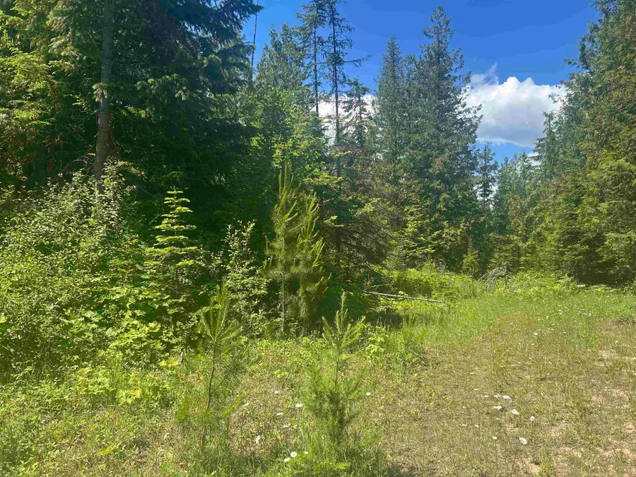 00 N Foster Ln, Usk, WA 99180 - #3