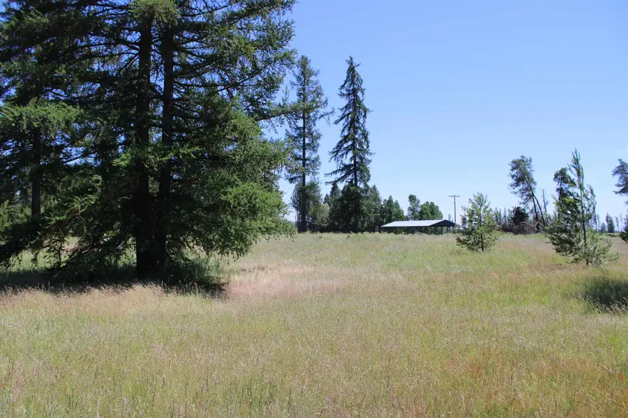 45XX W Gibson-dahl Rd, Clayton, WA 99110 - #2