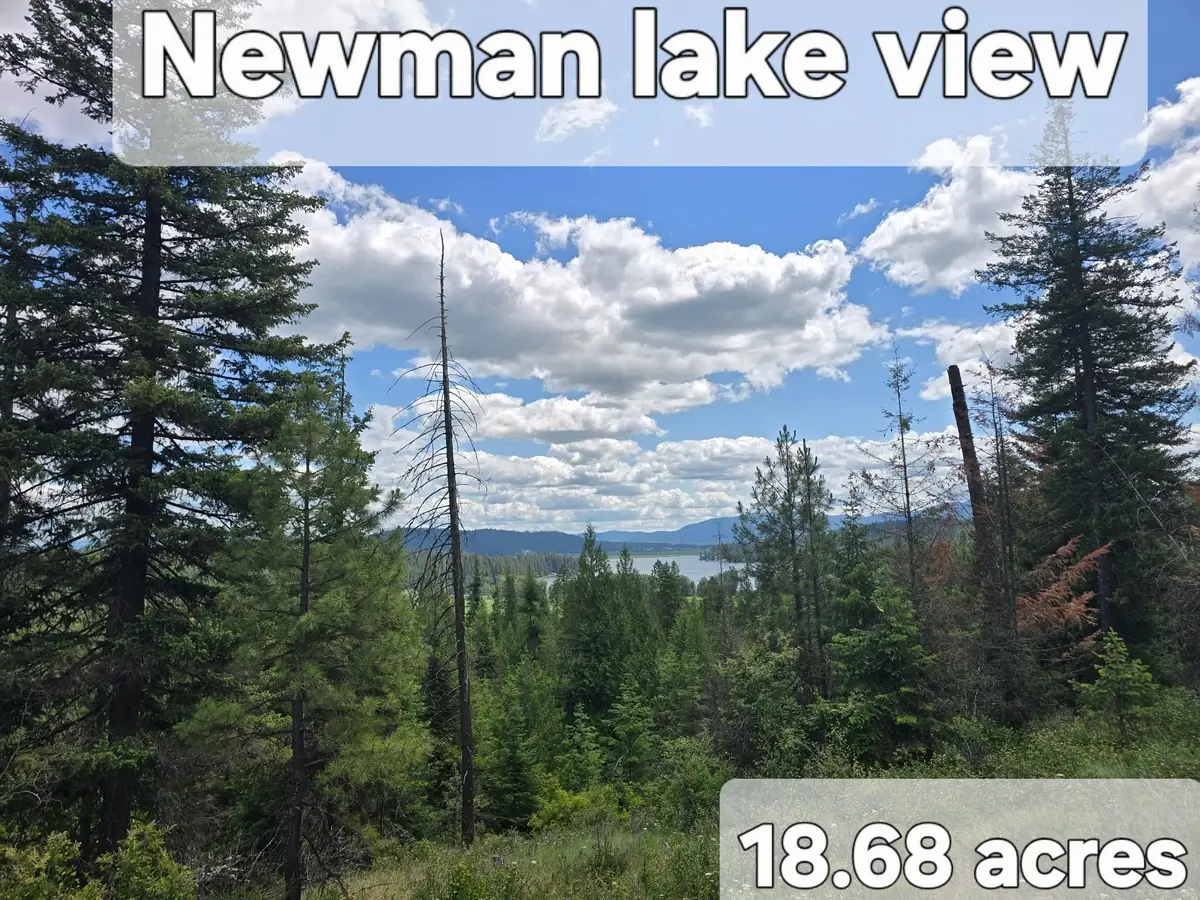 20300 E Mountain View Rd, Newman Lake, WA 99025 - #1