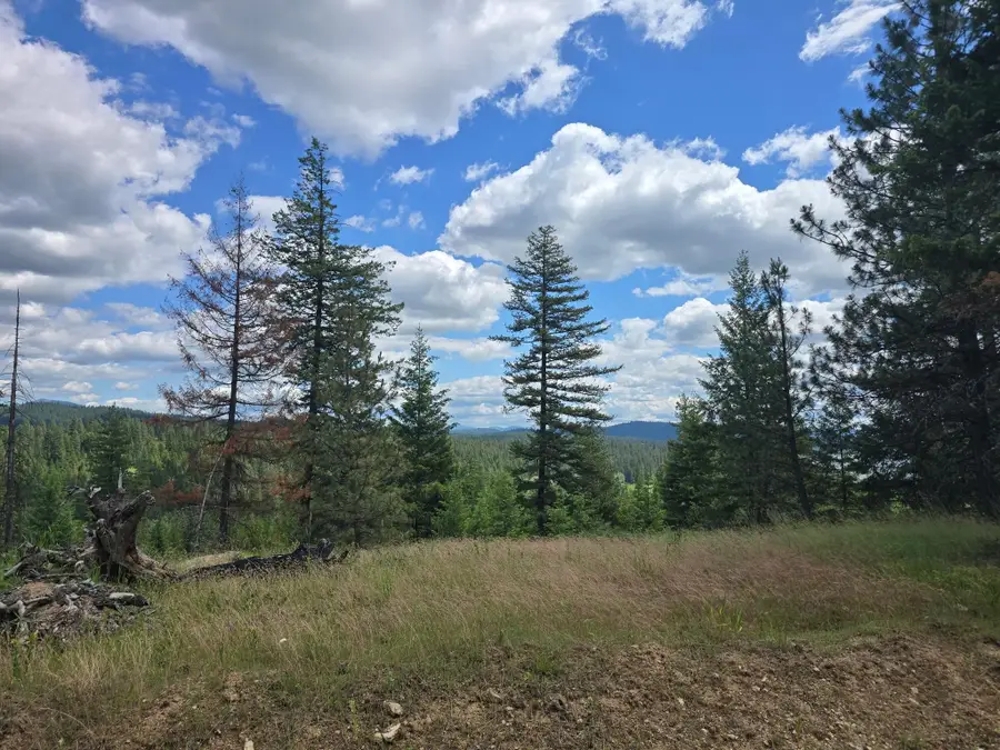 20300 E Mountain View Rd, Newman Lake, WA 99025 - #2