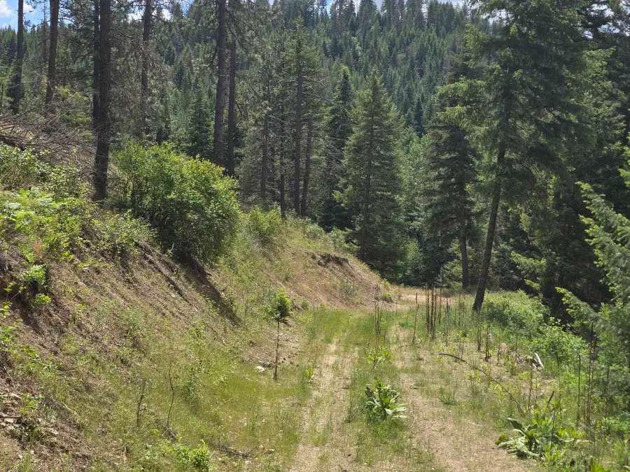 20300 E Mountain View Rd, Newman Lake, WA 99025 - #3