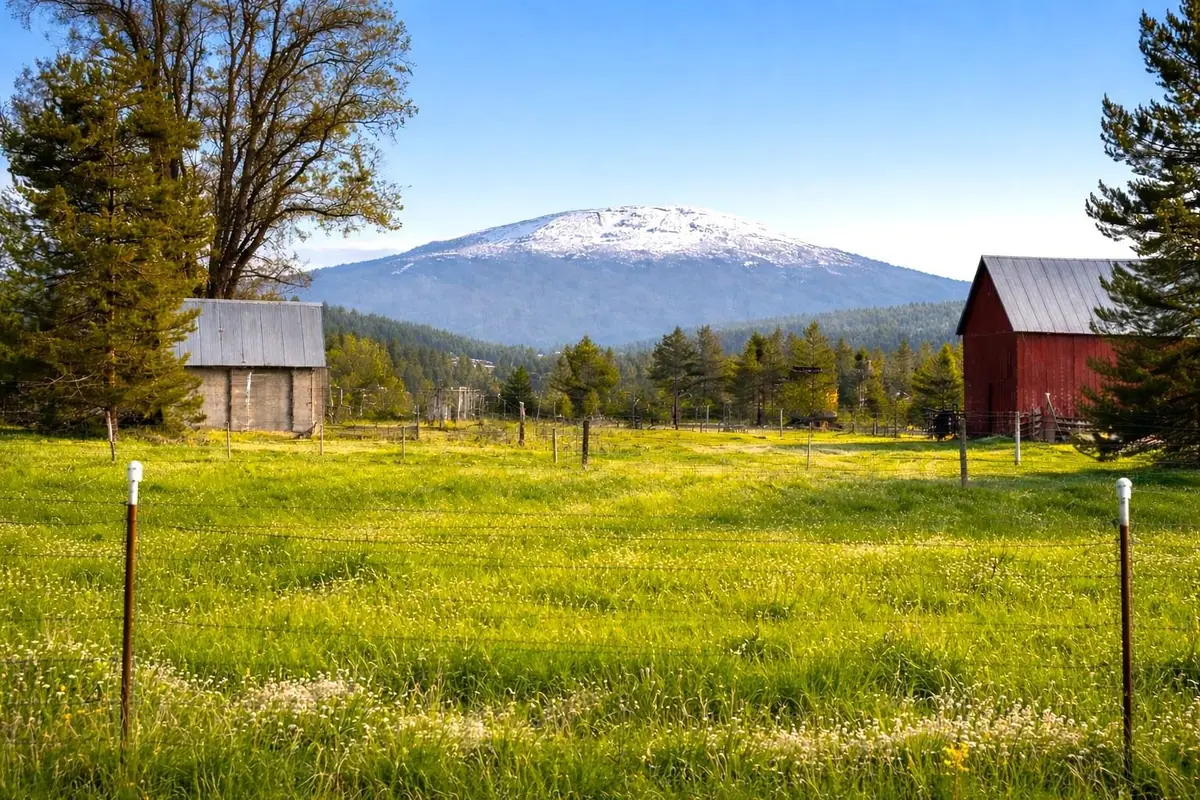 46XX Bittrich-antler Rd, Deer Park, WA 99006 - #1