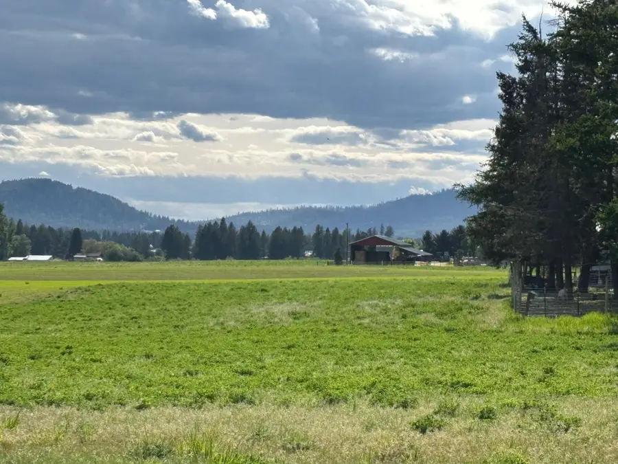 46XX Bittrich-antler Rd, Deer Park, WA 99006 - #3