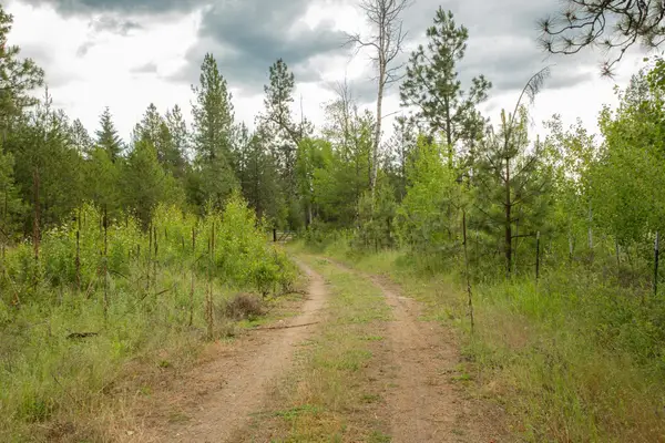 4110 Cemetery Rd, Springdale, WA 99137