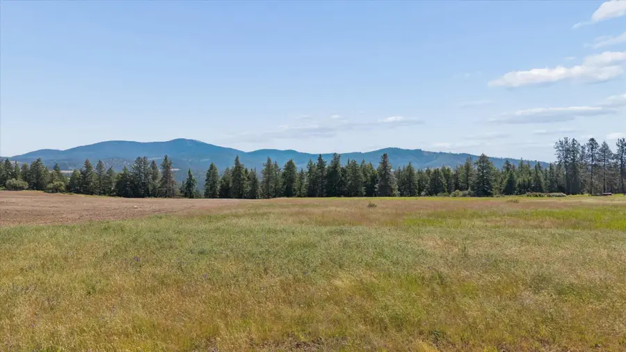 xxx Orchard Bluff Rd, Chattaroy, WA 99003 - #2
