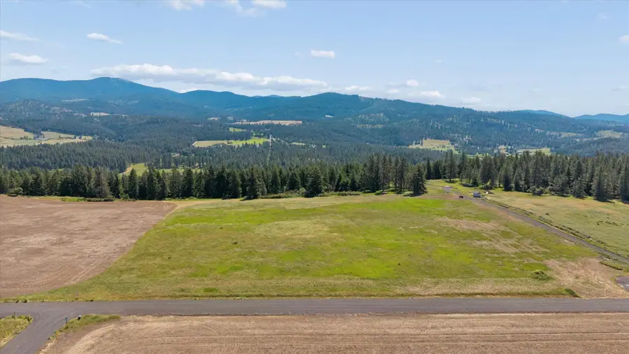 xxx Orchard Bluff Rd, Chattaroy, WA 99003 - #3