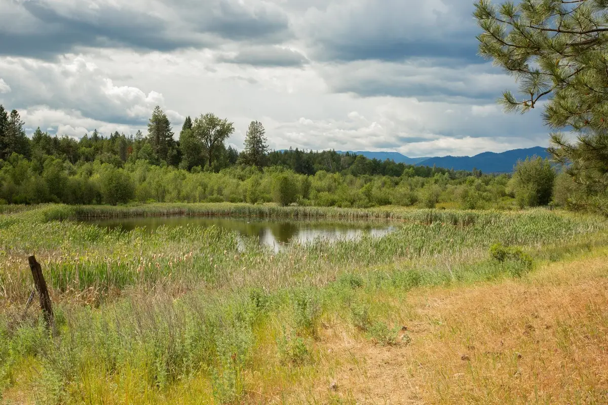 4110 Cemetery Tract Ab Rd, Springdale, WA 99137 - #1