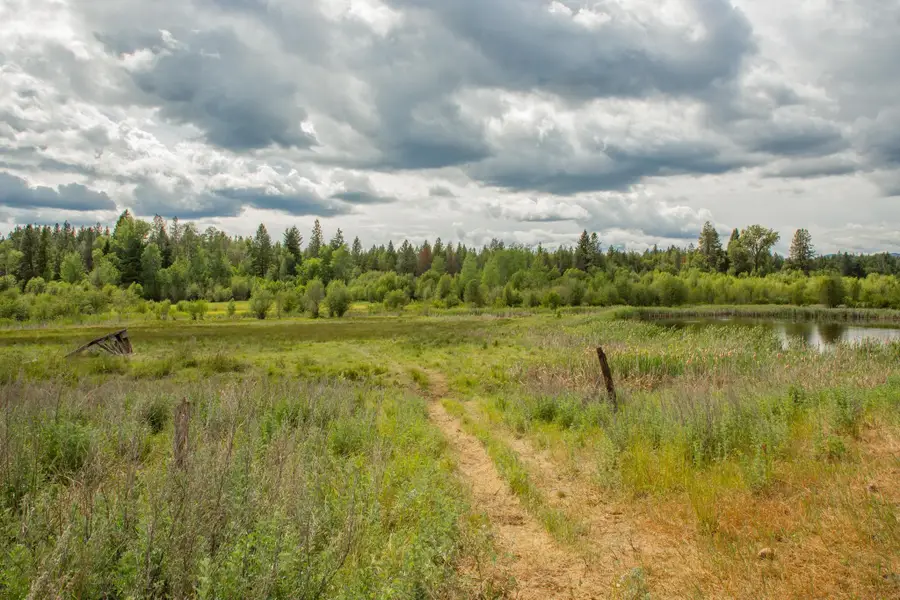 4110 Cemetery Tract Ab Rd, Springdale, WA 99137 - #3