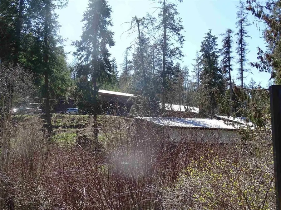 17208 E Blanchard Rd, Elk, WA 99009 - #2
