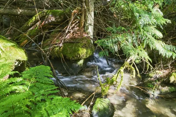 1301 Veit Rd, Newport, WA 99156