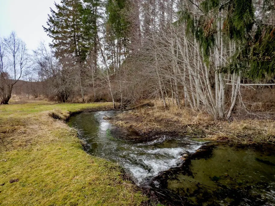 2063-A Marble Valley Basin Rd, Addy, WA 99101 - #2