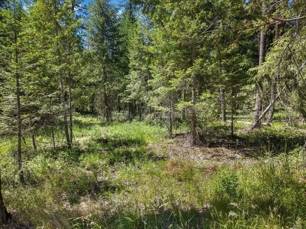 305XX N Cleveland Rd, Deer Park, WA 99006 - #1