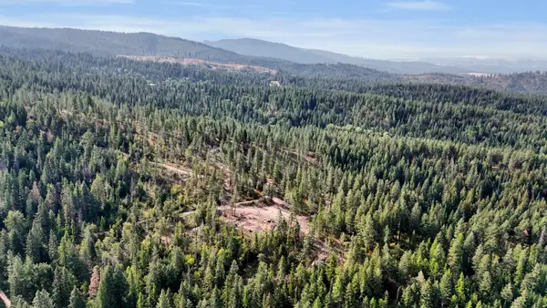 XXX E Deer Creek Rd, Chattaroy, WA 99003