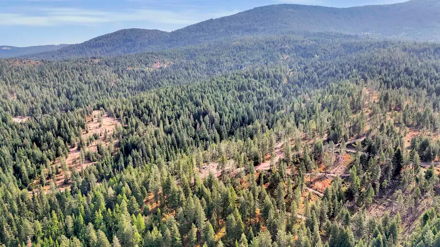 XXX E Deer Creek Rd, Chattaroy, WA 99003 - #2