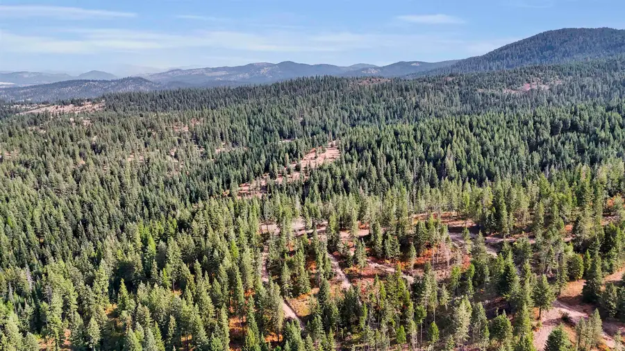 XXX E Deer Creek Rd, Chattaroy, WA 99003 - #3
