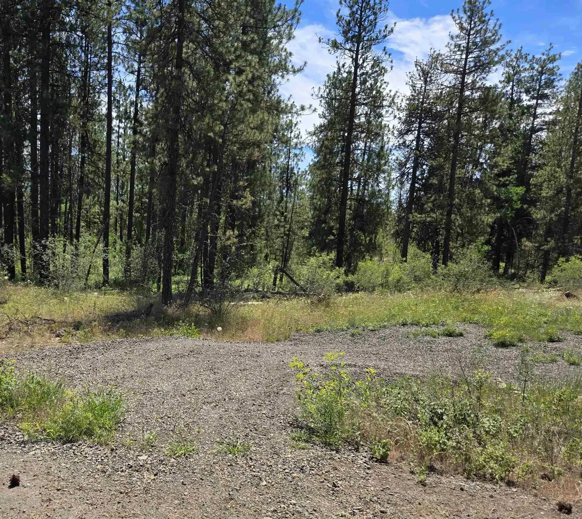 13711 W Farwell Rd, Nine Mile Falls, WA 99026 - #1