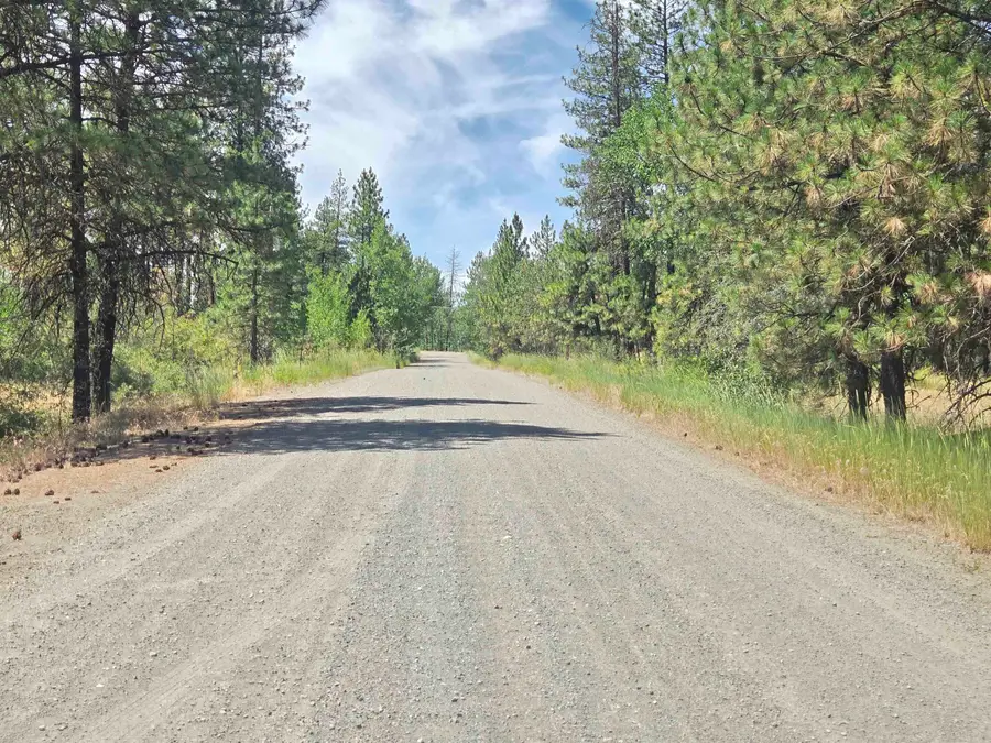 13711 W Farwell Rd, Nine Mile Falls, WA 99026 - #2