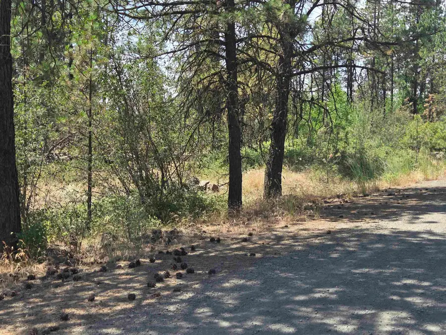 13711 W Farwell Rd, Nine Mile Falls, WA 99026 - #3