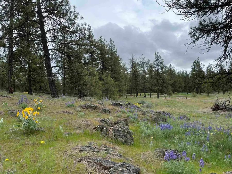 21XXX S Harrison Rd, Edwall, WA 99008 - #3