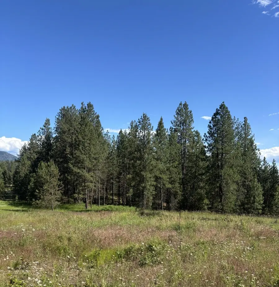 2392 Cozy Nook Rd, Chewelah, WA 99109 - #3