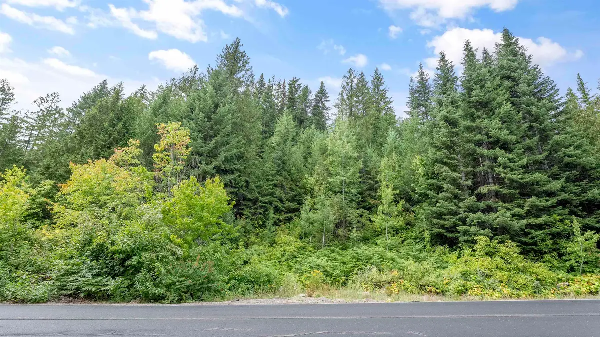 234XX N Mt Spokane Park Dr, Mead, WA 99021 - #1