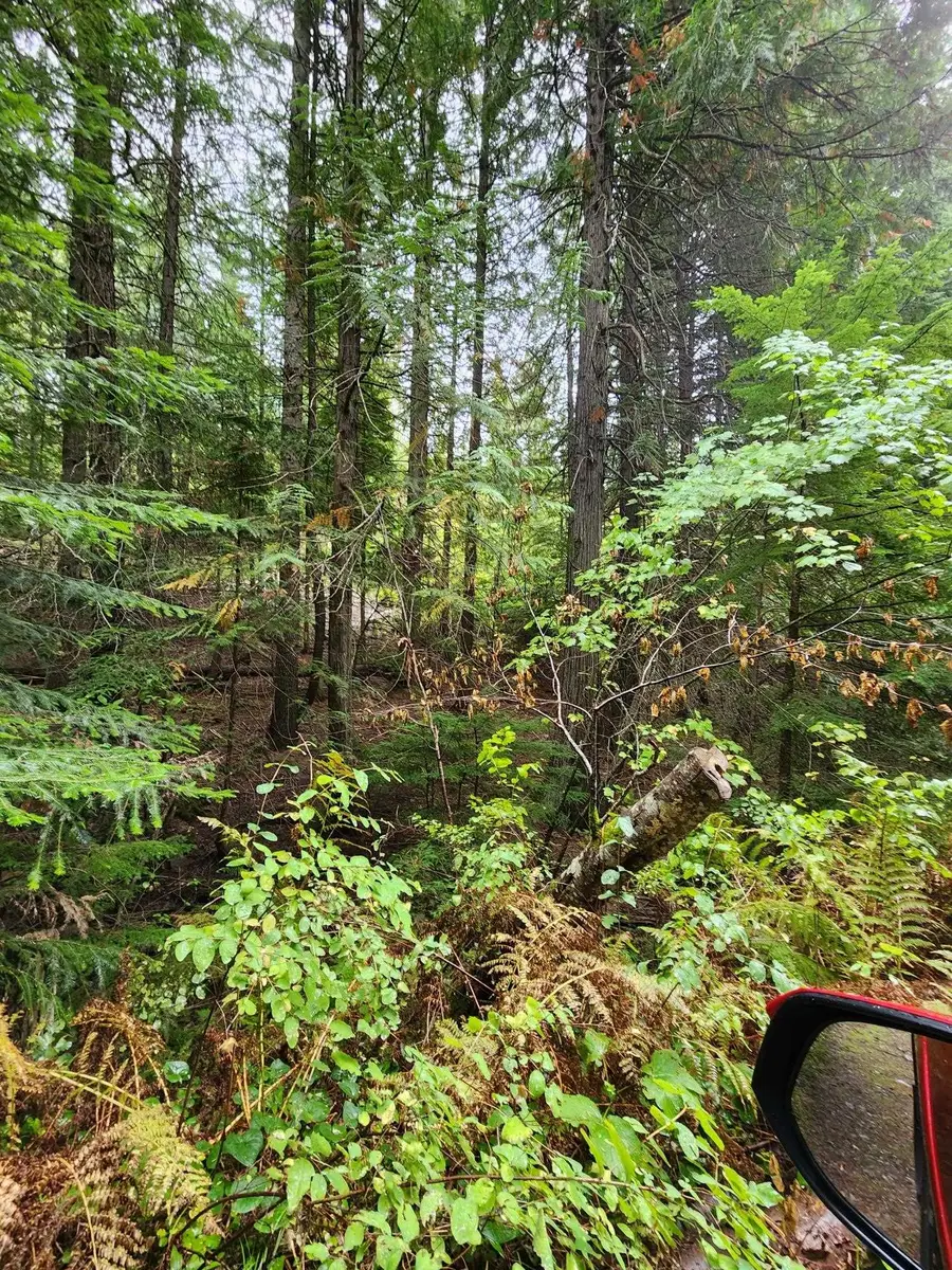 234XX N Mt Spokane Park Dr, Mead, WA 99021 - #2