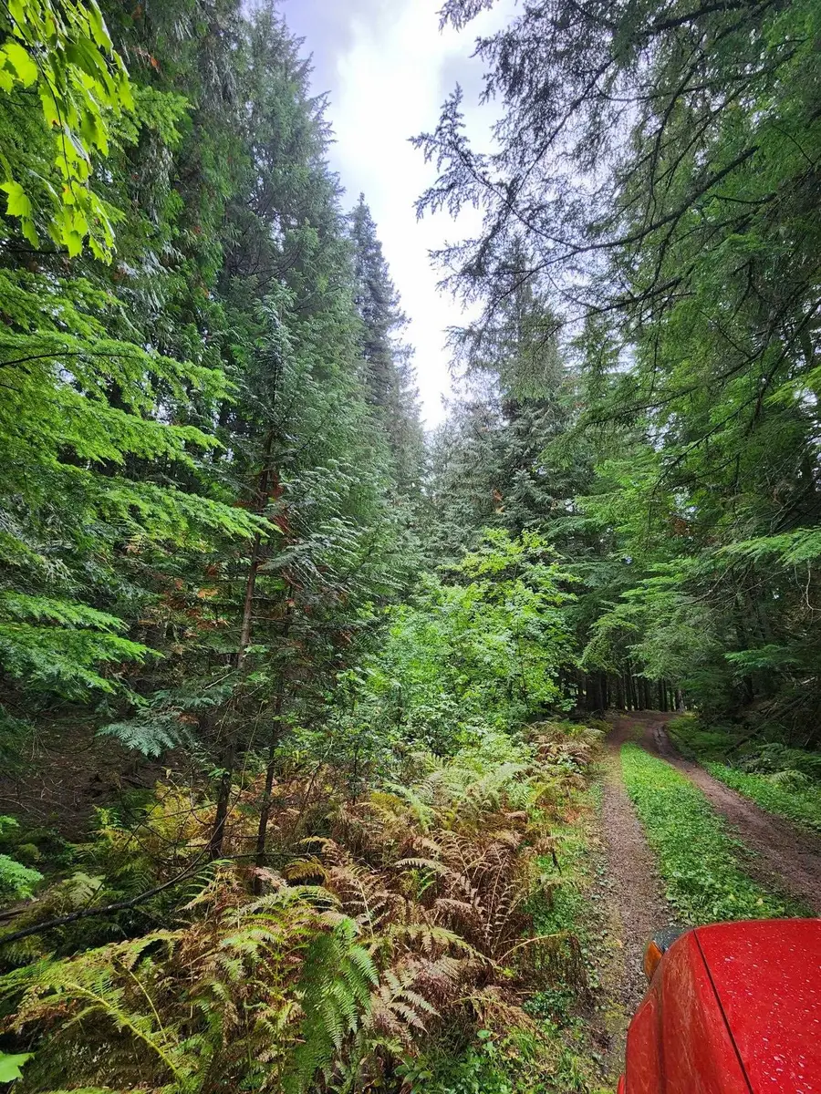 234XX N Mt Spokane Park Dr, Mead, WA 99021 - #3