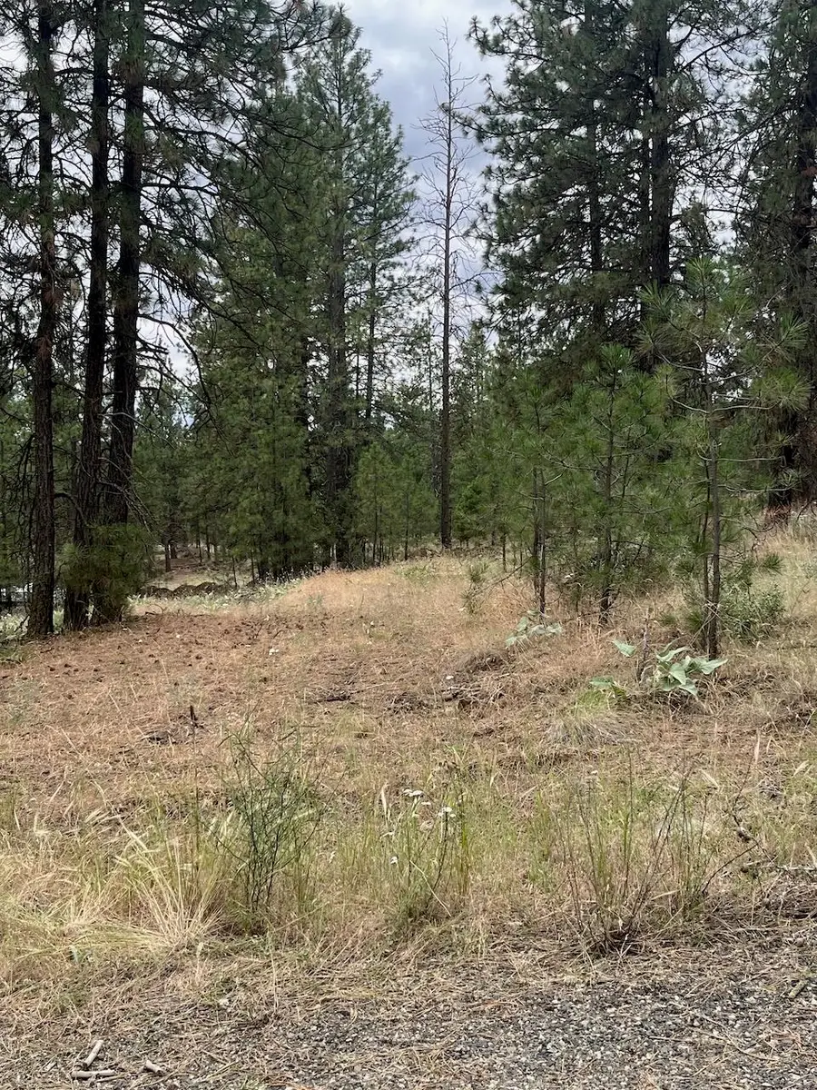 31676 Sontag Ridge E Dr, Davenport, WA 99122 - #3