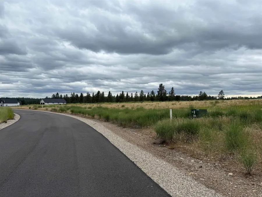 4207 E Molly Jean Ln, Chattaroy, WA 99003 - #3