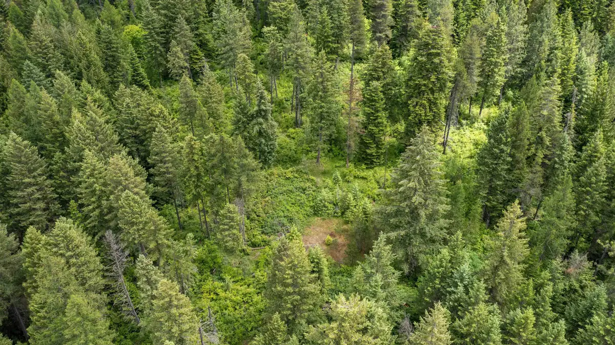 NKA Deer Ln, Mead, WA 99021 - #1