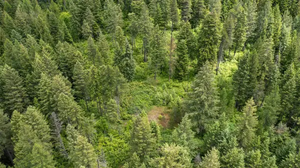 NKA Deer Ln, Mead, WA 99021