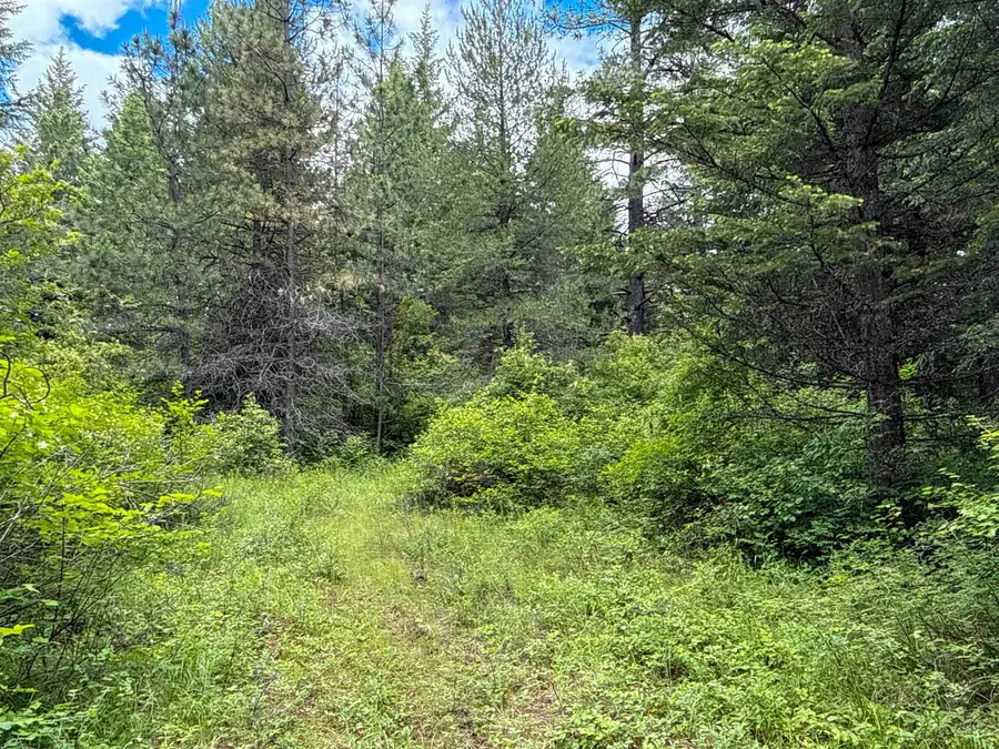 NKA Deer Ln, Mead, WA 99021 - #2