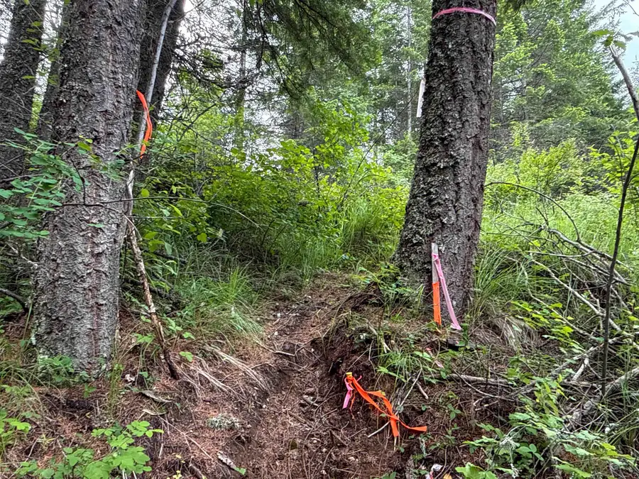 NKA Deer Ln, Mead, WA 99021 - #3