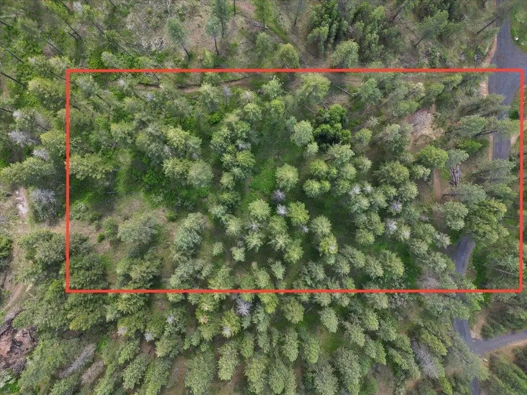 NKA Weaver Way, Deer Park, WA 99006 - #1