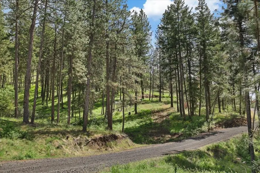 NKA Weaver Way, Deer Park, WA 99006 - #2