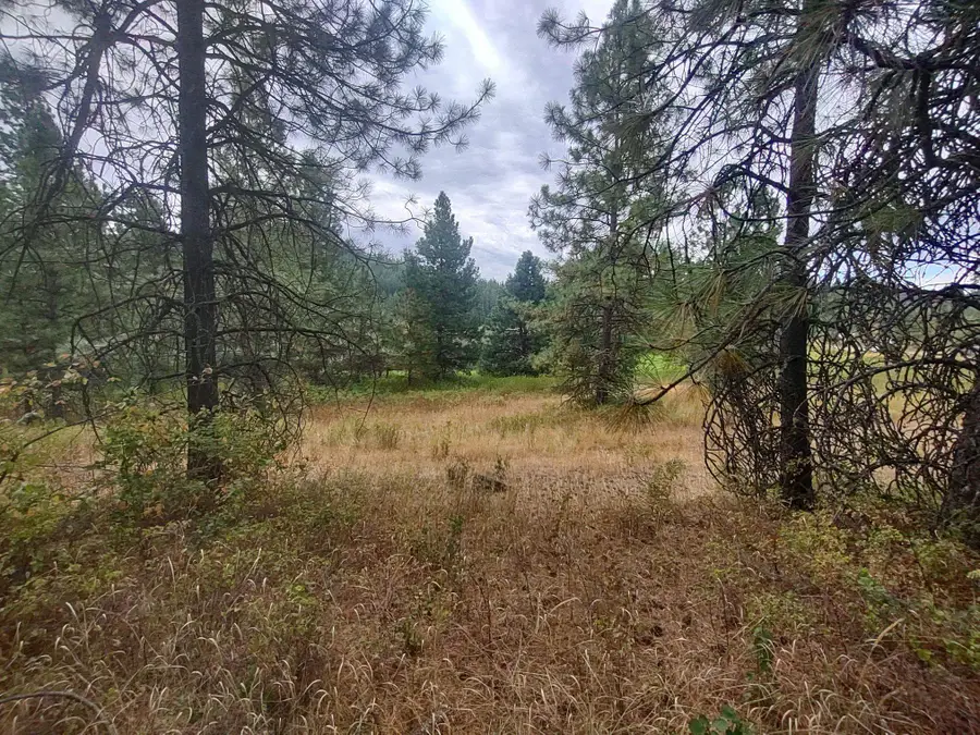 XX Little Sweden Rd, Valley, WA 99181 - #3