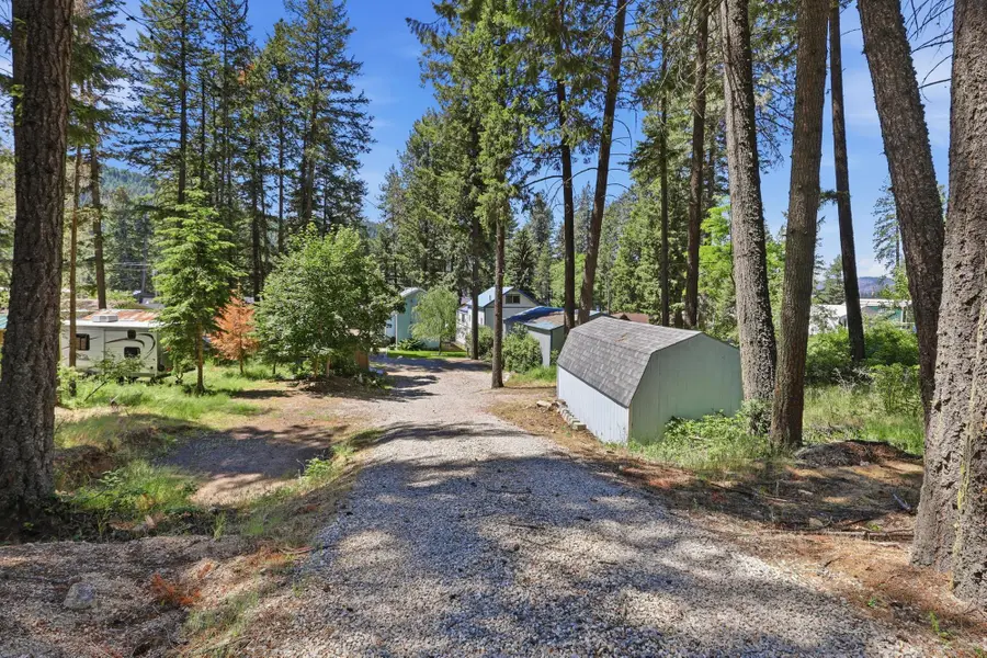 4541 East Deer Lake Rd, Loon Lake, WA 99148 - #3