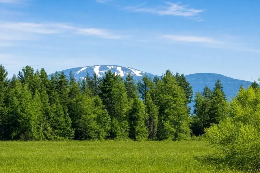 413XX N Short Rd, Deer Park, WA 99006 - #2
