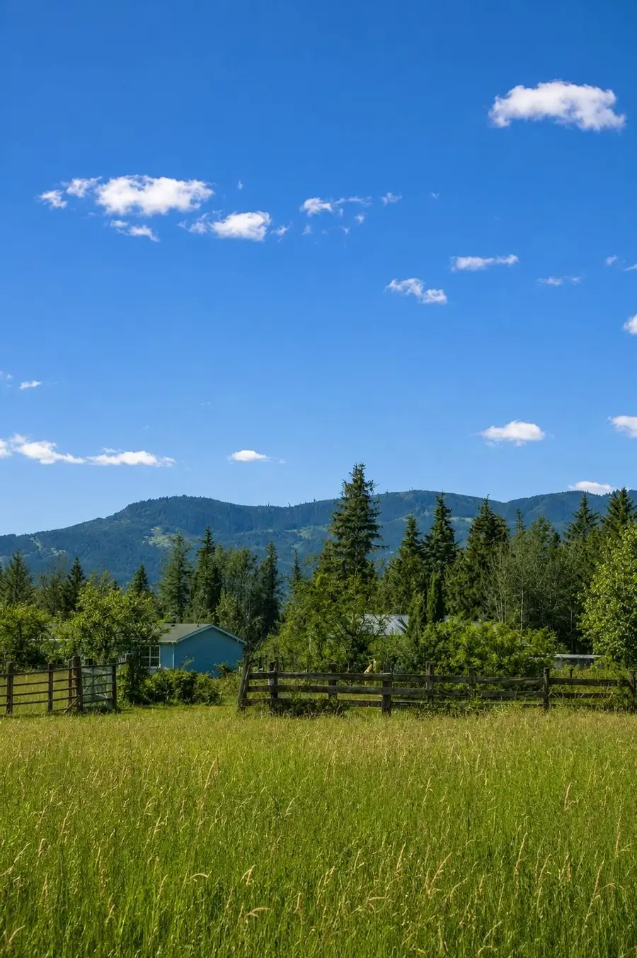 413XX N Short Rd, Deer Park, WA 99006 - #3