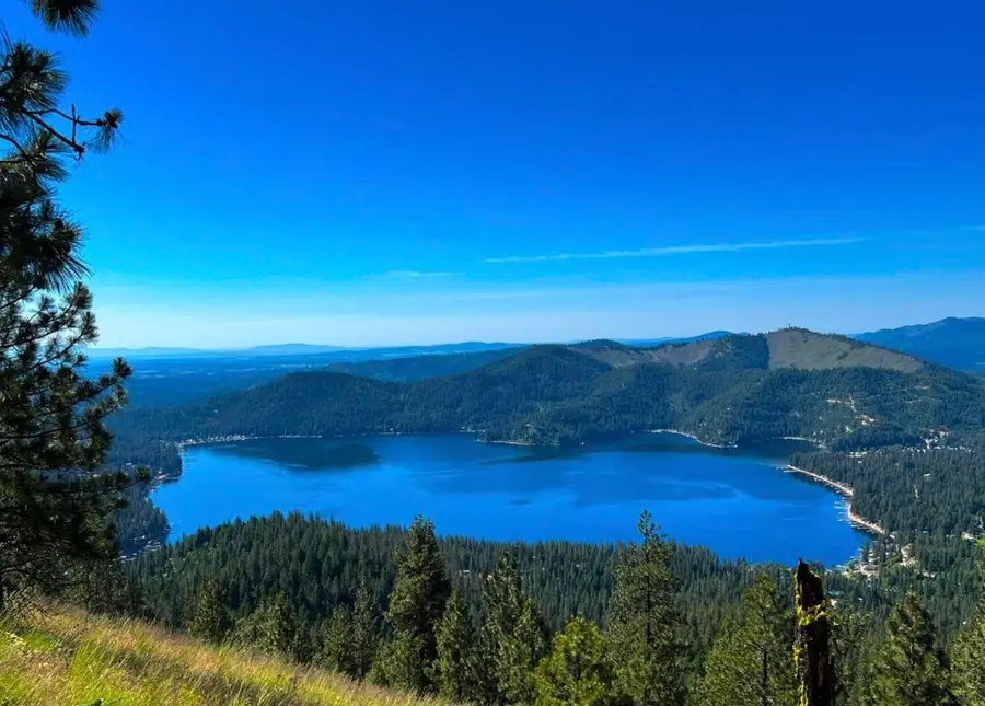 3797 Deer Ln, Loon Lake, WA 99148 - #2