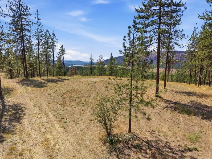 21609 W South Bank Rd, Nine Mile Falls, WA 99026 - #3