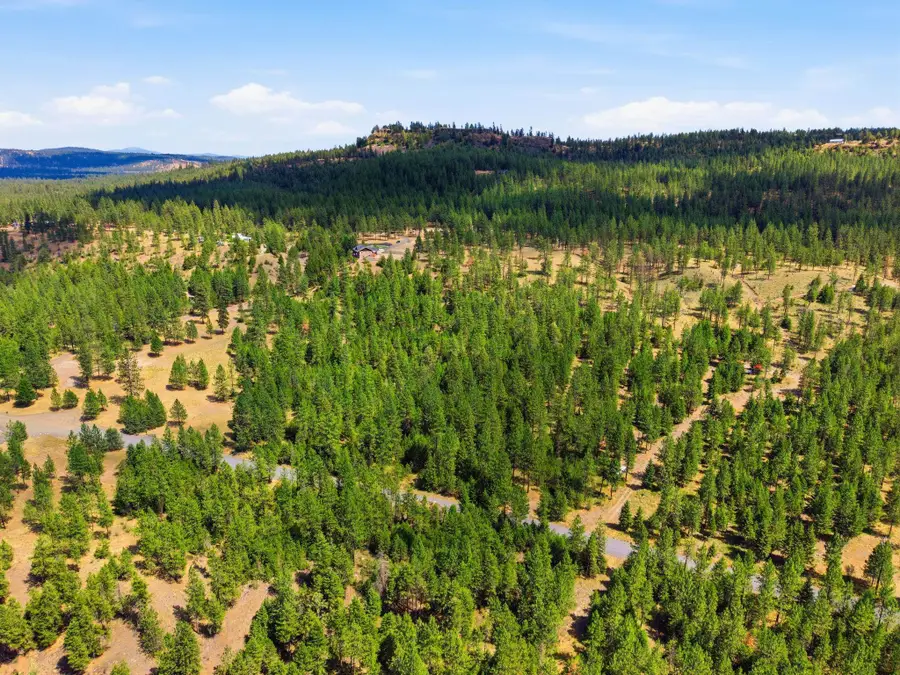 21517 W South Bank Rd, Nine Mile Falls, WA 99026 - #3