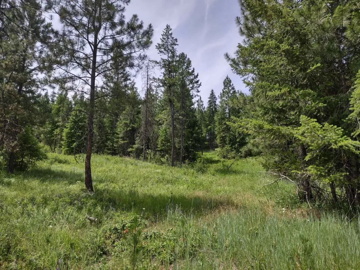 xx Springdale Hunters Hwy, Springdale, WA 99173 - #1