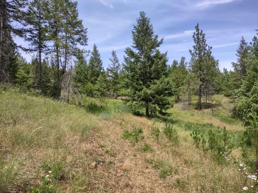 xx Springdale Hunters Hwy, Springdale, WA 99173 - #2