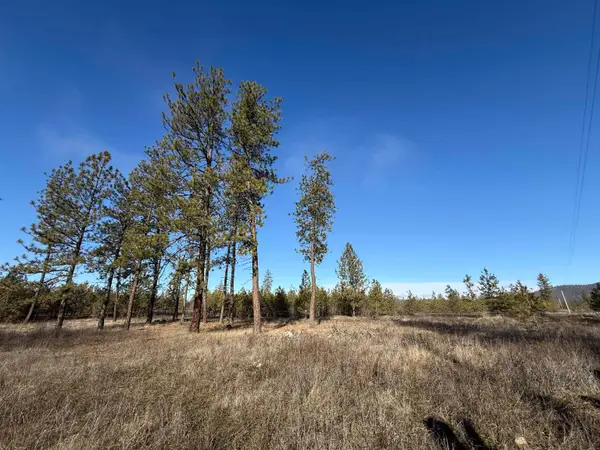 7552 Kimberly Drive Way, Ford, WA 99013
