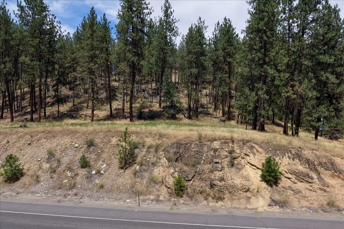 11XXX Nine Mile Rd, Nine Mile Falls, WA 99026 - #1
